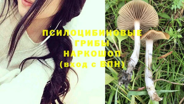 экстази Алексеевка