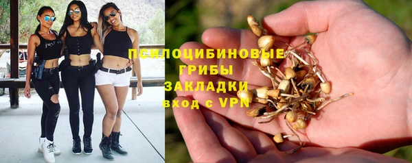 героин Алзамай