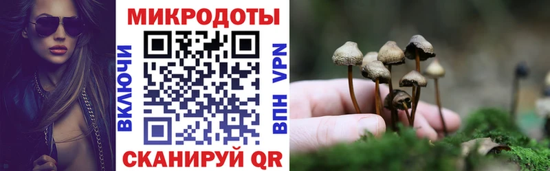 Галлюциногенные грибы Psilocybine cubensis  Жиздра 